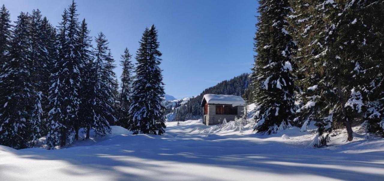 Z Studio - next door to Vals Therme Buitenkant foto